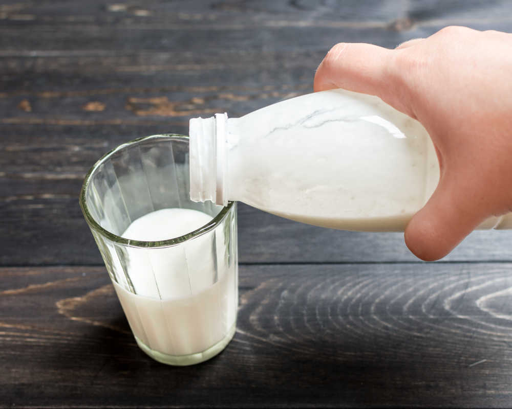 yüksek proteinli süt