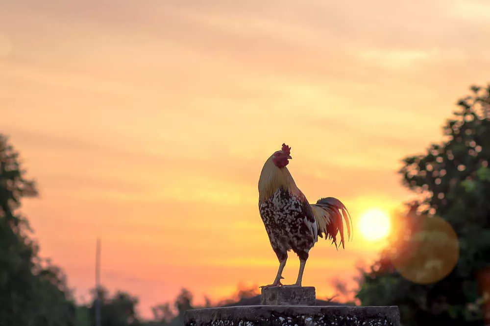 Bir türlü kilo veremiyorum diyenler için 7 basit sabah alışkanlığı