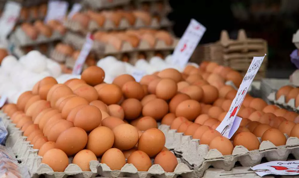 Yumurta alırken nelere dikkat edilmeli?