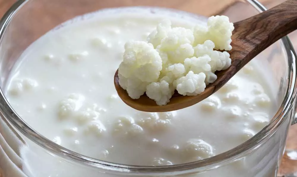 kefir nedir