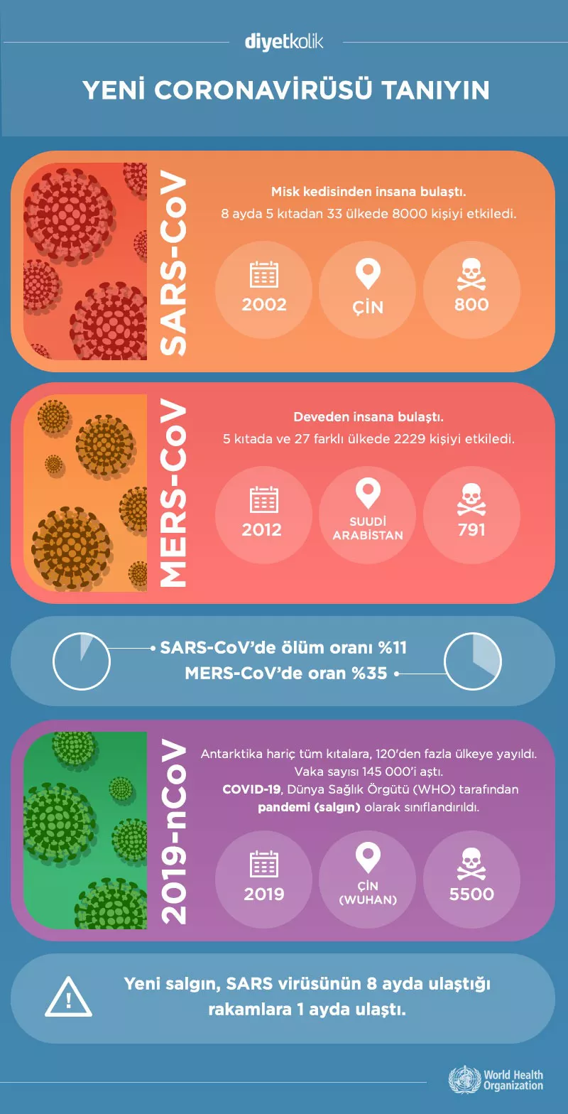 Coronavirüs hakkında bilmeniz gereken her şey