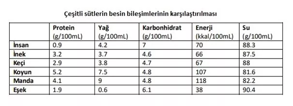 Bebekler İçin Anne Sütünün Önemi ve Bazı Hayvansal Kaynaklı Sütler Arasındaki Farkları