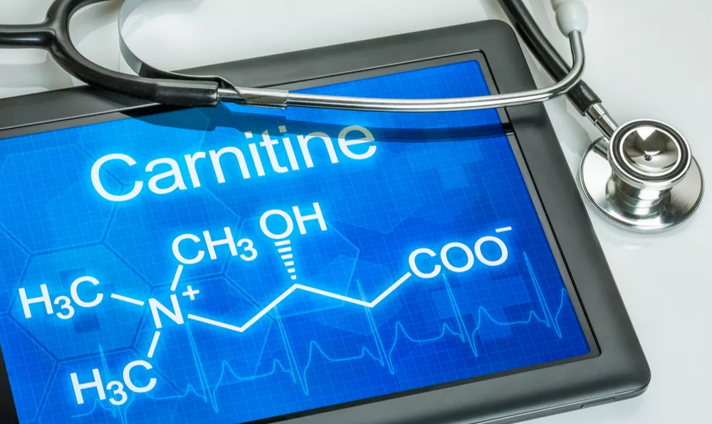 Yağ yakıcı: L karnitin (L carnitine) nedir