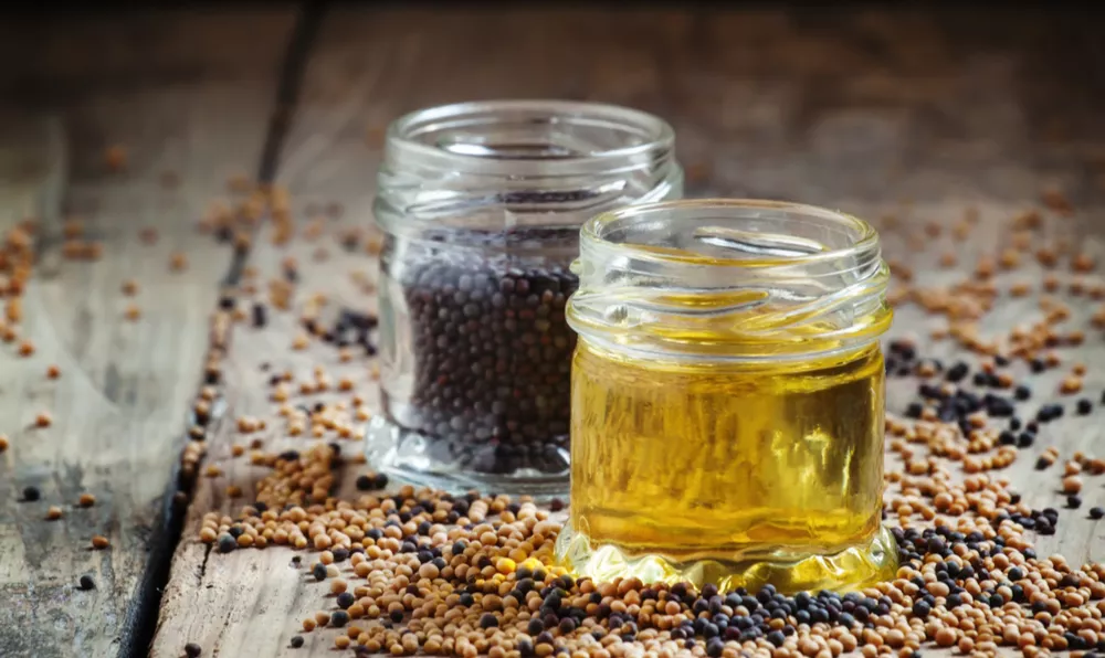 Çörek otu yağı faydaları nelerdir?