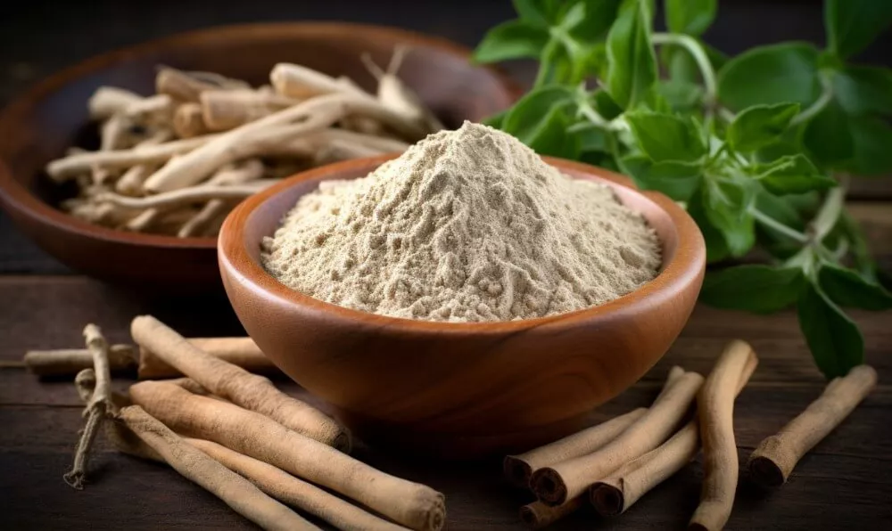 Fiziksel, ruhsal, zihinsel destek: Ashwagandha nedir?