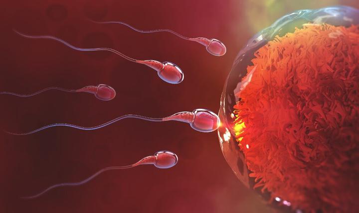 Sperm kalitesi nasıl artırılır?