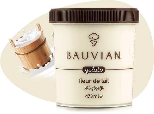 Bauvian Süt Çiçeği Dondurma